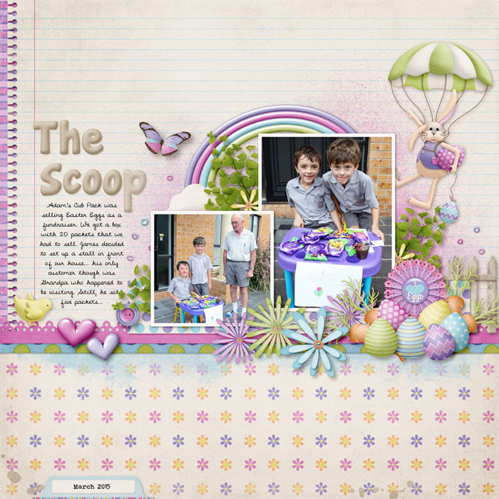 The-scoop