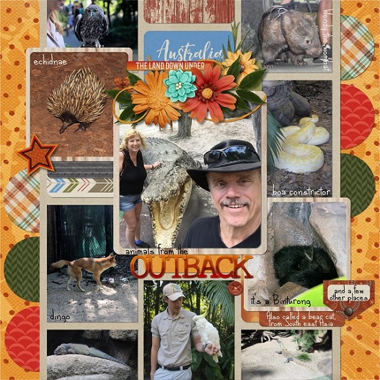 animals_from_the_outback