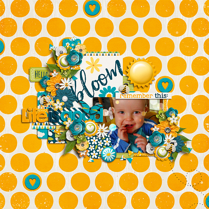 bloom_7002