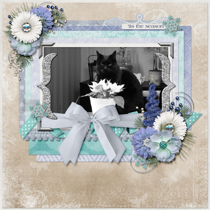 christmas-cat-2013-Hanna