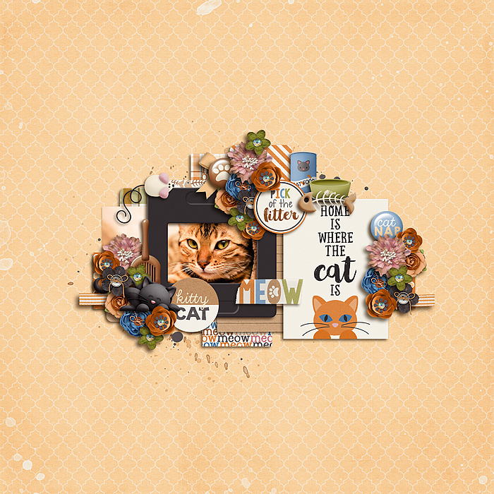 kittycat_700