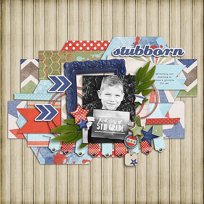 stubborn-web-700