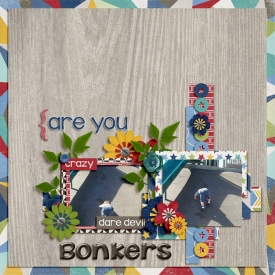 Are-You-Bonkers.jpg