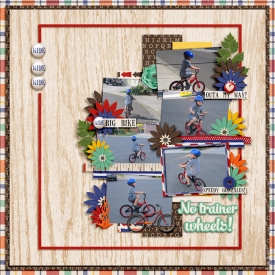 Bike3.jpg