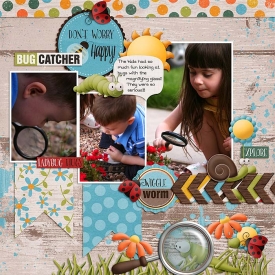 Bug_Catcher_fdd_ffFreeBee132_700.jpg
