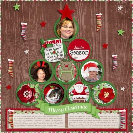ChristmasTree_Nov2014.jpg