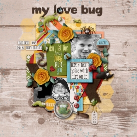 DigiliciousBugsmeTinci_LA_1-copy-2700forum.jpg