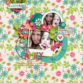 Janelle-bmagee-wethreekings-digilicious-werfamily.jpg