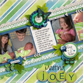 Joey_aprilisa_PP88_edited700.jpg