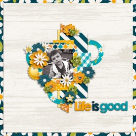 Life-is-Good20.jpg
