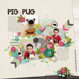 Pig-the-Pug.jpg