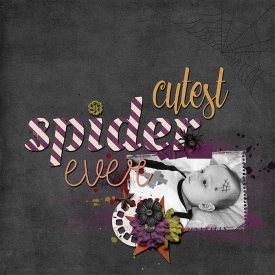 cutest-spider-ever-Hanna.jpg