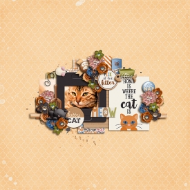 kittycat_700.jpg