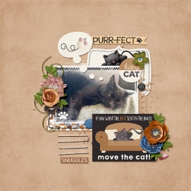 purr-fect-Hanna.jpg