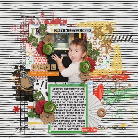 sb-digi-igeek-copy.jpg