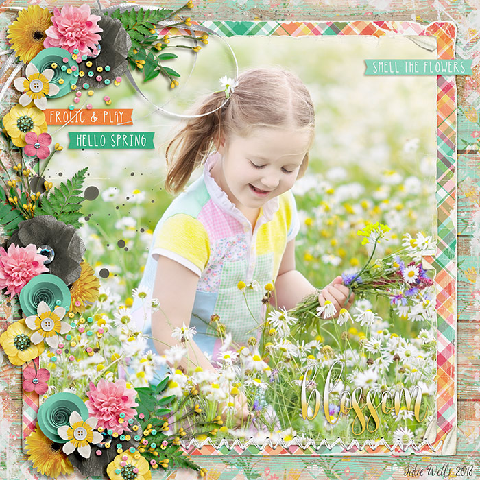 AS-blossom-24Feb