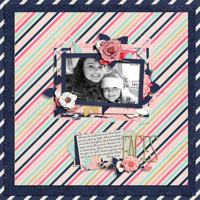 FacesCestLaVie_Dec2014