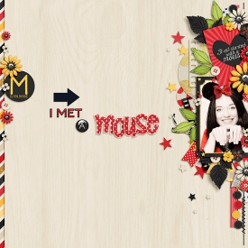 AS-I-Met-a-Mouse-12June.jpg