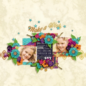 AS-TTT-Make-a-Wish-15Aug.jpg