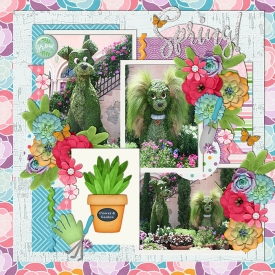 A_Succulent_Spring.jpg