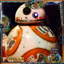 BB8F700.jpg