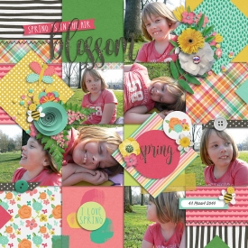 Blossom700.jpg