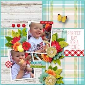 PicnicInThePark_OutsideTheBoxV1_700.jpg