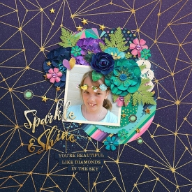 Sparkle_shine_copy1.jpg