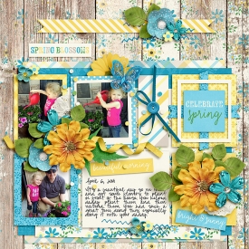 SpringBeauty_mrsashbaugh.jpg