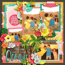 flamingoparadiseas1-700.jpg