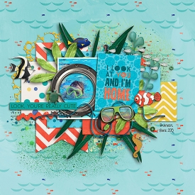 home-web-700.jpg