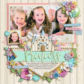 myfavoriteprincessF700.jpg