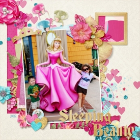sleeping-beauty-sm.jpg