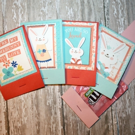 somebunnylovesyoumatchbook.jpg