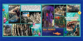 web_2018_04_Florida_April30_Mote_SwL_7_17MIRTemplate.jpg
