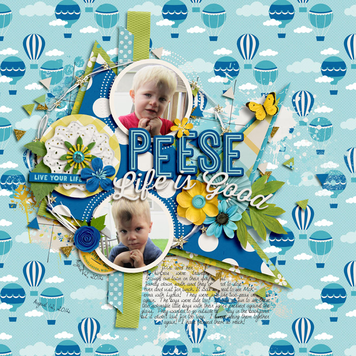 2014-08-12-Peese