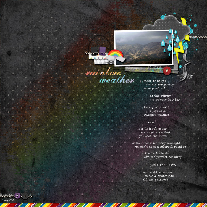 2014_rainbowweather_ssd-aug5-opt1