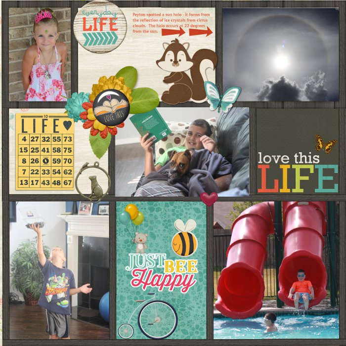 Aug_31_Shadowbox