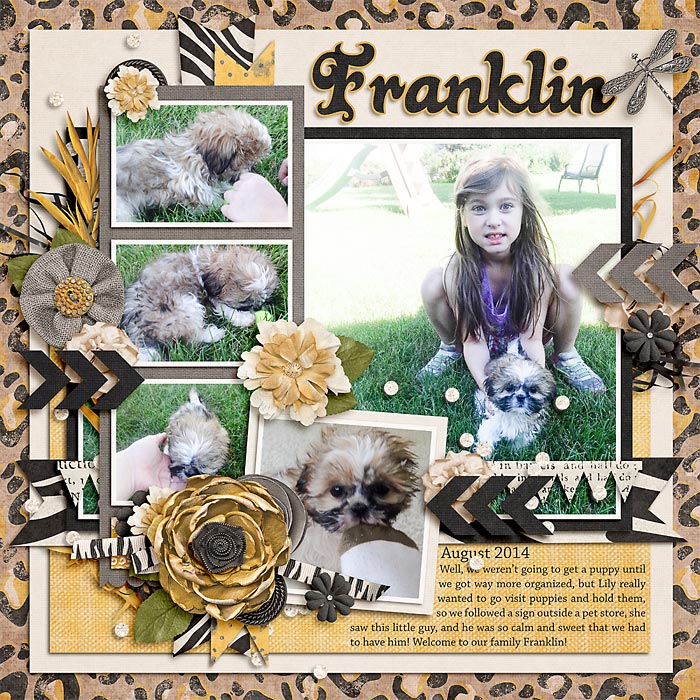 Franklin-to-upload