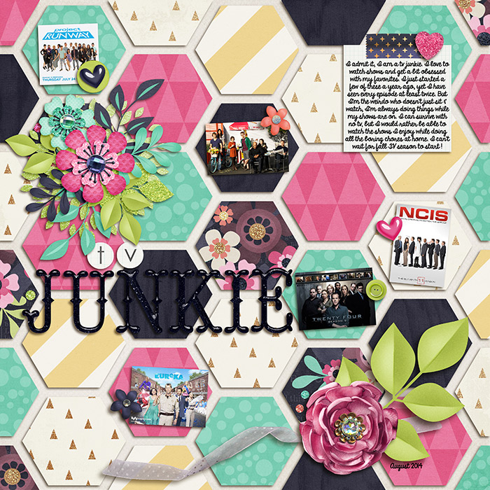 aug14--tv-junkie