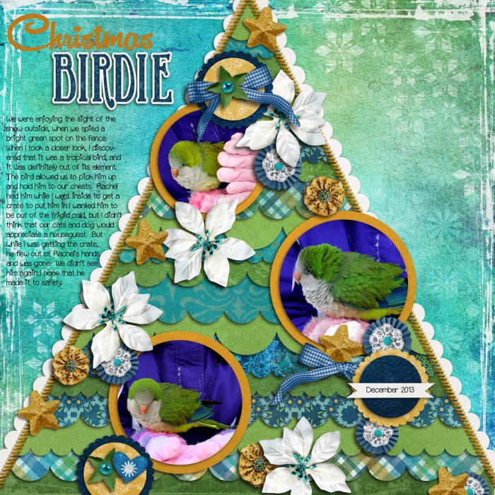 bmagee_SSD-DecTreeCookie_700_x_700_
