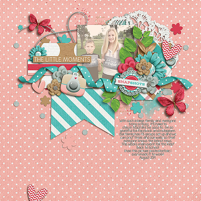 snapshot-web-700