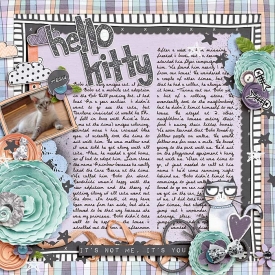 2007_GrumpyKitty_WEB.jpg