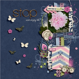 2014-06-15-Stop-And-Enjoy-Life.jpg