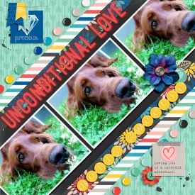 carinak-pljuly-layout001.jpg