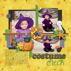 costumecheck.jpg