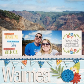 sm2014-1-waimeacanyon.jpg