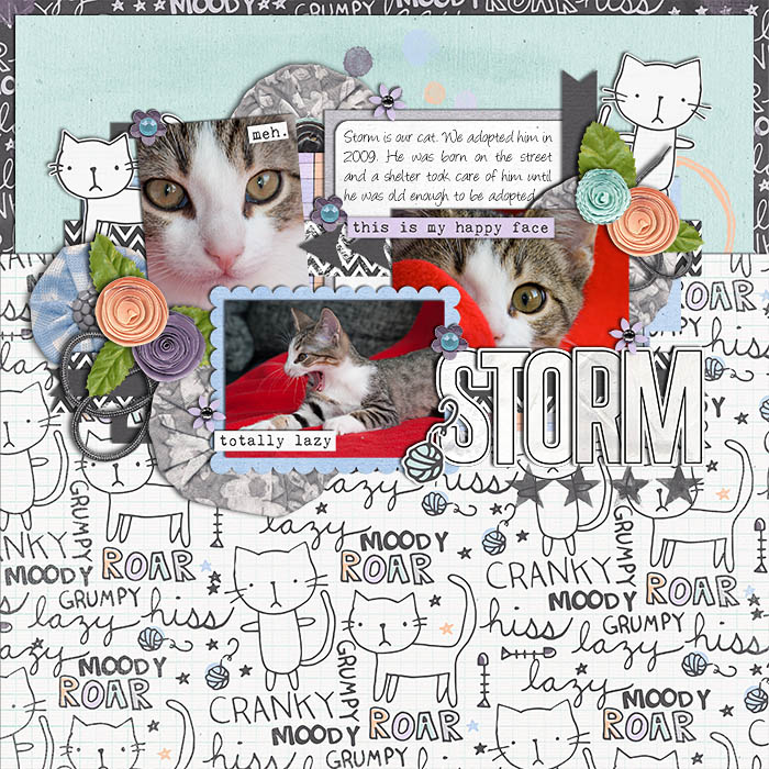 04_-_Scrap_A_Furry_Friend_Small