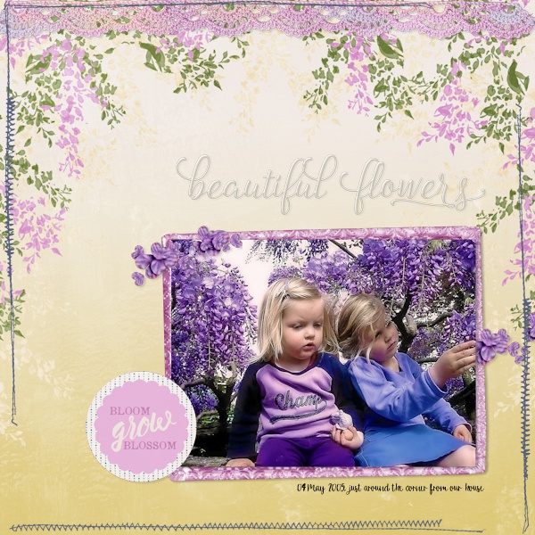 05apr04_wisteria01