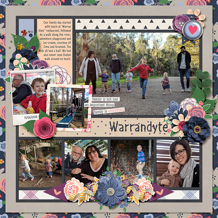 06-11-2018_warrandyte-smlA